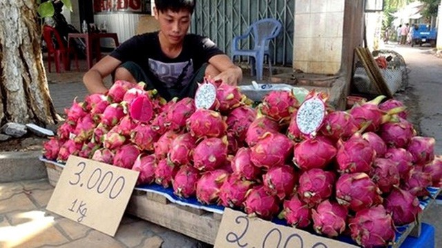 “Giải mã” việc Trung Quốc đột ngột ngưng mua thanh long Việt Nam - Ảnh 1.