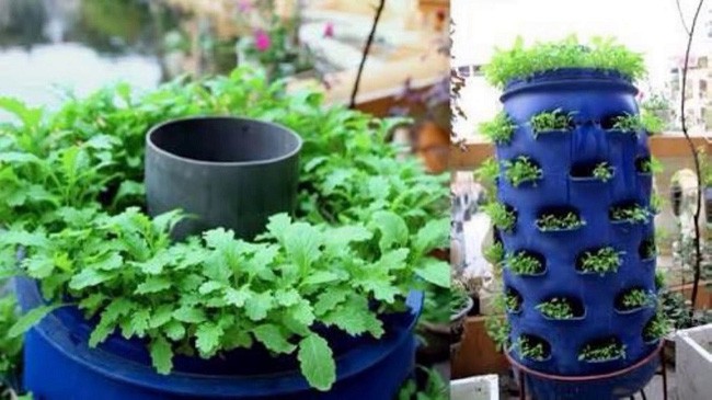 Mách bạn cách trồng rau xanh ngay trong nhà phố mà vẫn đảm bảo chất lượng và số lượng - Ảnh 7.