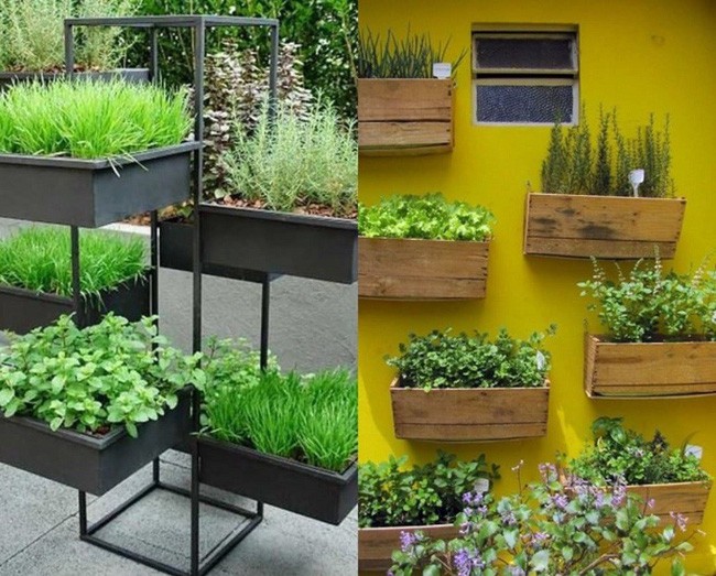 Mách bạn cách trồng rau xanh ngay trong nhà phố mà vẫn đảm bảo chất lượng và số lượng - Ảnh 9.