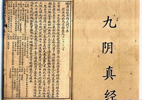 Tuyệt kỹ võ công “Cửu Âm Chân Kinh” qua lý giải của võ sư Chưởng môn ở Việt Nam - Ảnh 1.