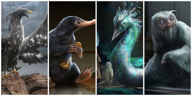 12 sinh vật huyền bí hiếm có khó tìm từng xuất hiện trong Fantastic Beasts And Where To Find Them (Phần 1) - Ảnh 1.