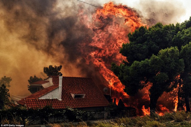 Là thảm họa với con người, nhưng thế giới tự nhiên lại rất thích cháy rừng - Ảnh 12.
