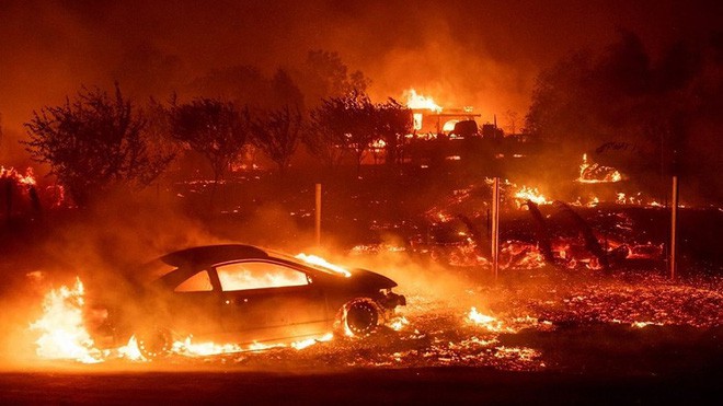 Là thảm họa với con người, nhưng thế giới tự nhiên lại rất thích cháy rừng - Ảnh 10.