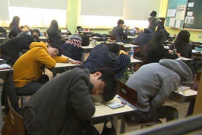 Tiến sĩ Oxford: Học sinh ngủ trong lớp đâu phải vì lười, giáo dục nên coi giấc ngủ như một phần trọng tâm - Ảnh 1.
