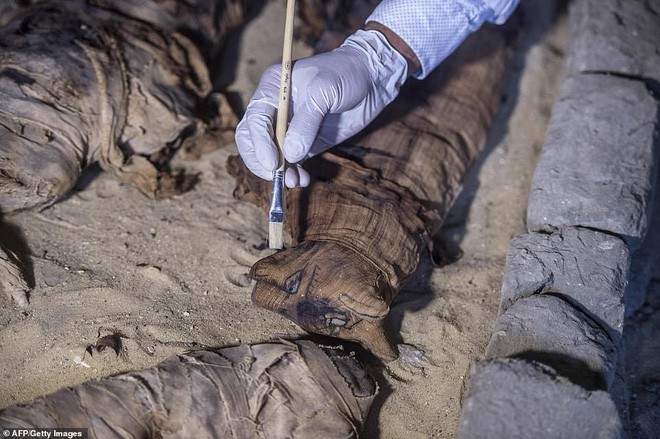 Cận cảnh xác ướp bọ hung và mèo bên trong ngôi mộ Ai Cập 4.500 năm tuổi - Ảnh 3.