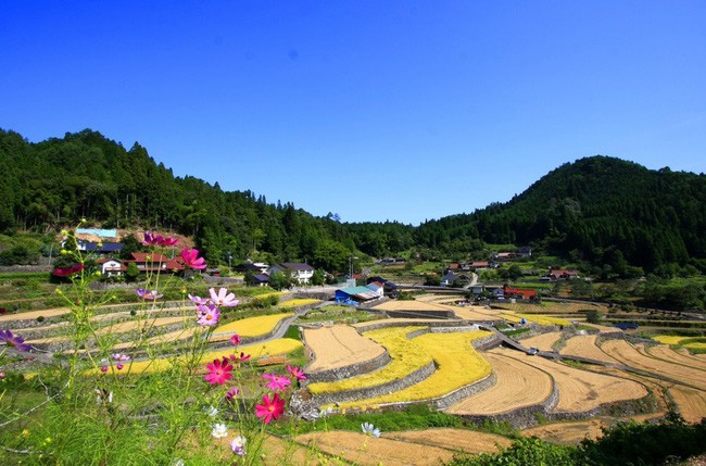 Những ngôi nhà an yên đẹp tựa tranh vẽ ở vùng nông thôn Nhật Bản - Ảnh 12.