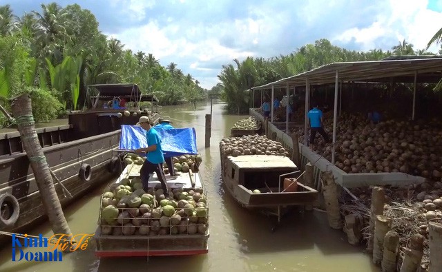 Hành trình ngược dòng Mê Kông ở thủ phủ dừa của Việt Nam - Ảnh 4.