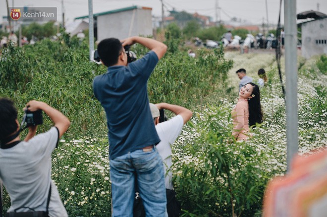 Vườn cúc hoạ mi ở Hà Nội thất thủ cuối tuần: 1 mét vuông có chục nhiếp ảnh gia và mẫu - Ảnh 13.