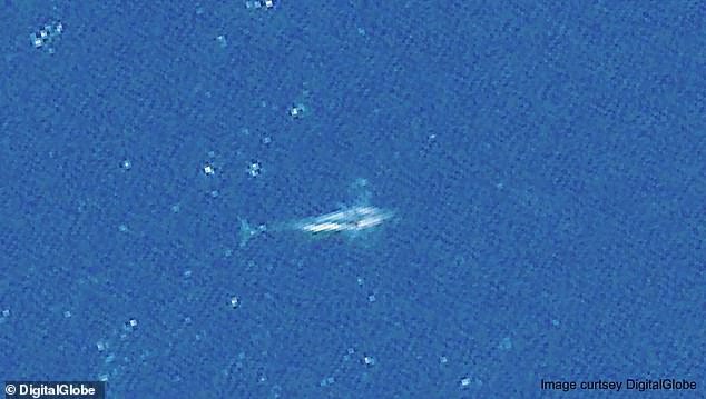 Bí mật công nghệ soi cá voi từ không gian: Cách 620km vẫn nhìn thấy rõ - Ảnh 2.