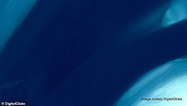 Bí mật công nghệ soi cá voi từ không gian: Cách 620km vẫn nhìn thấy rõ - Ảnh 3.