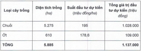  Sau khi bắt tay với bầu Đức, Thaco chính thức tuyển dụng sếp kinh doanh trái cây  - Ảnh 1.