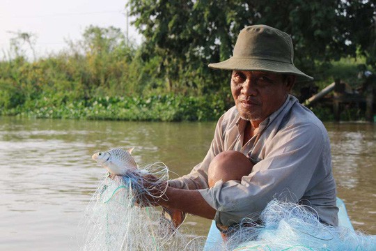 Đua nhau hứng cá đồng lũ lượt từ ruộng rút xuống kênh - Ảnh 2.