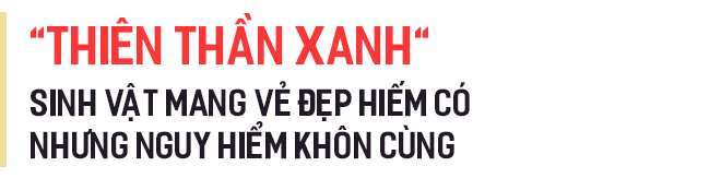 Bí ẩn mật mã xuyên thế kỷ: Thách thức trí tuệ khoa học gần 600 năm - Ảnh 4.