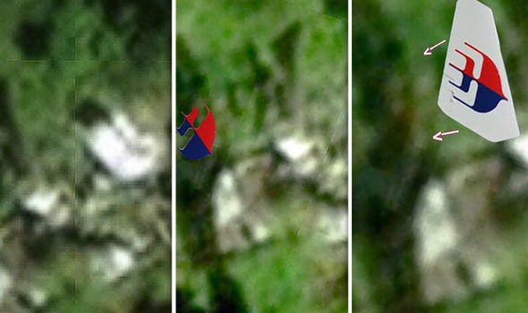 Xôn xao tìm thấy logo MH370 trong rừng rậm Campuchia - Ảnh 1.