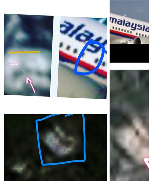 Xôn xao tìm thấy logo MH370 trong rừng rậm Campuchia - Ảnh 2.