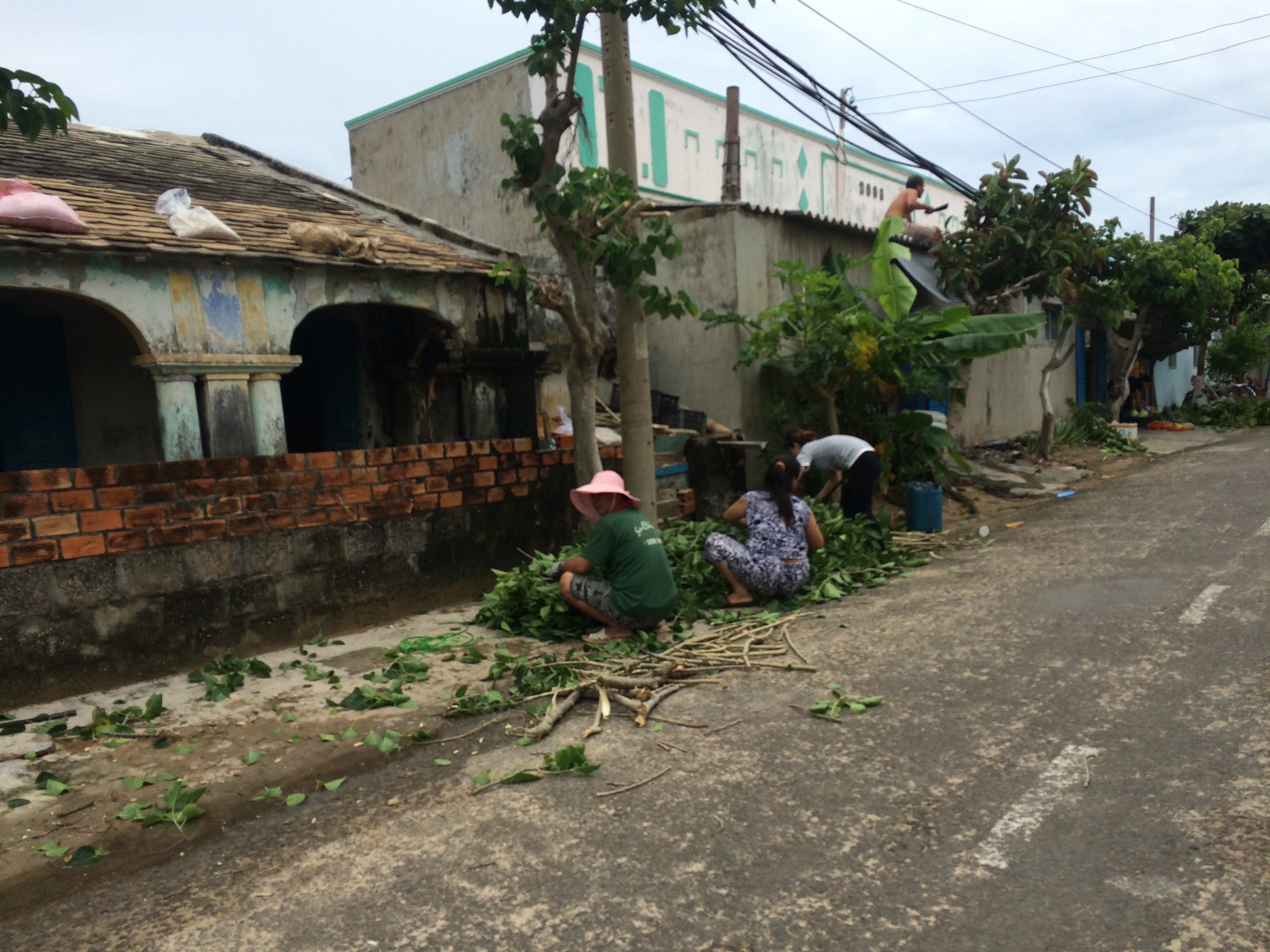 Bão số 9 cách đảo Phú Quý 100km, người dân tất bật cắt cây, chằng chống nhà cửa - Ảnh 2.
