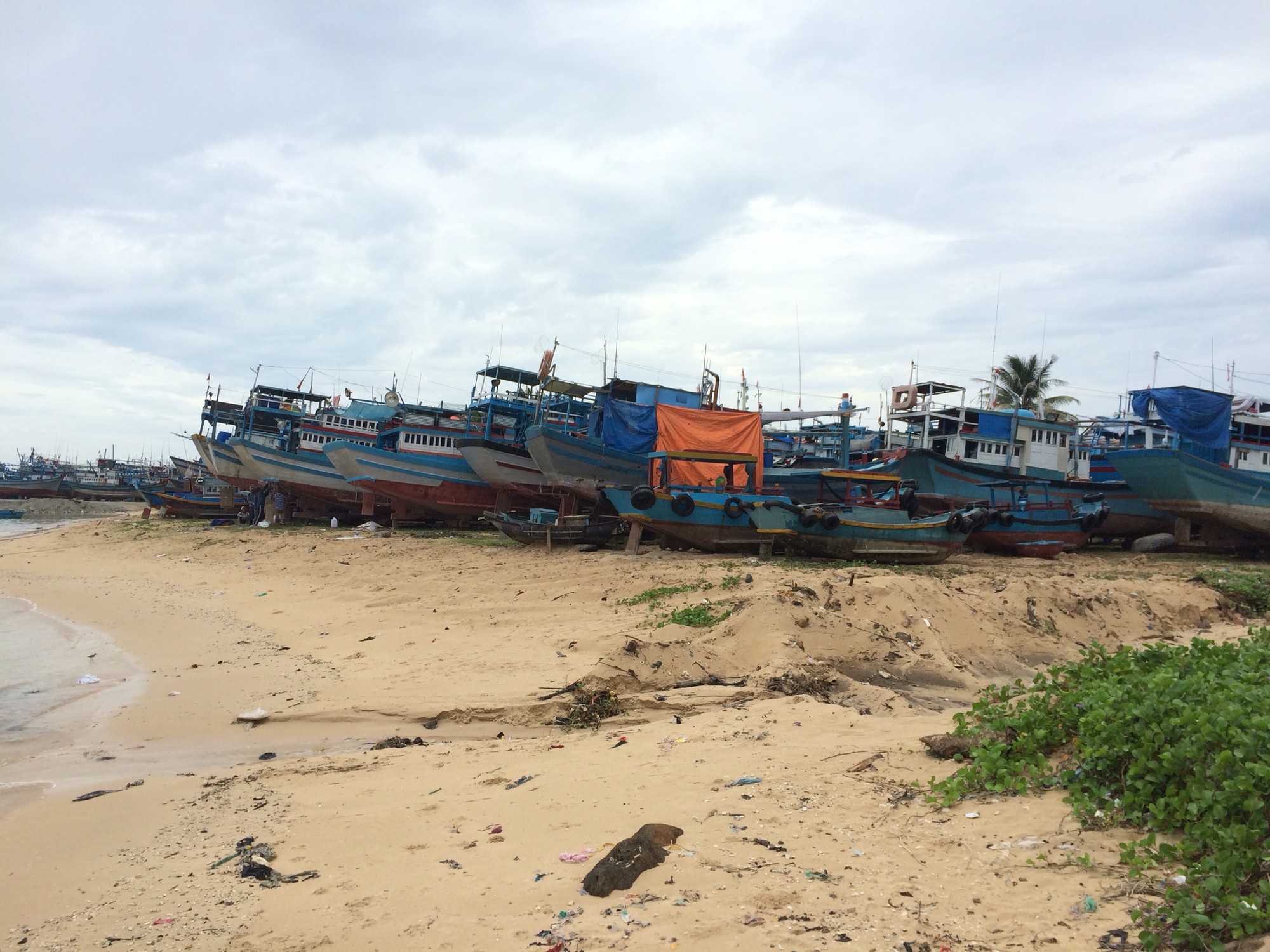 Bão số 9 cách đảo Phú Quý 100km, người dân tất bật cắt cây, chằng chống nhà cửa - Ảnh 5.