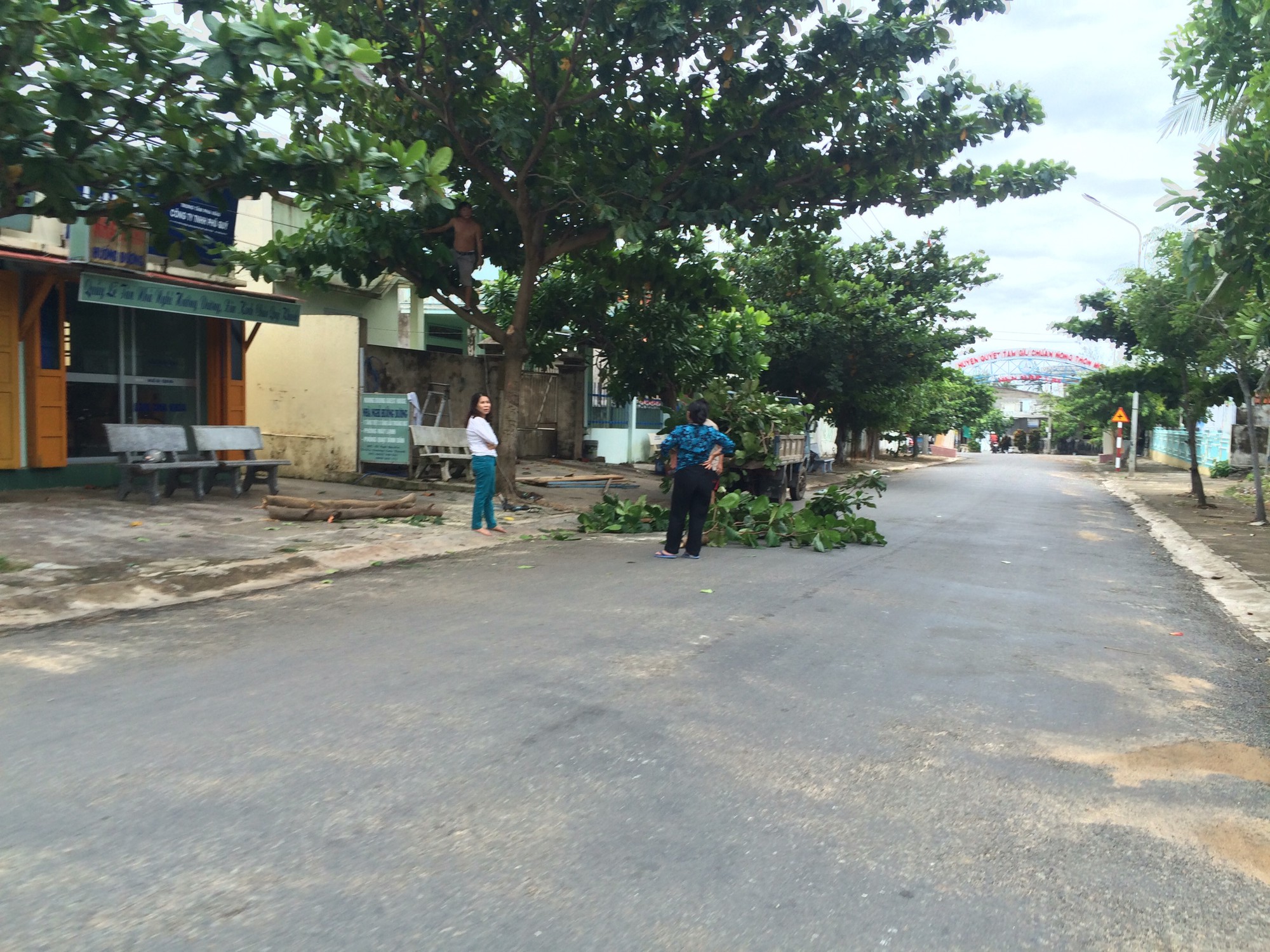 Bão số 9 cách đảo Phú Quý 100km, người dân tất bật cắt cây, chằng chống nhà cửa - Ảnh 7.
