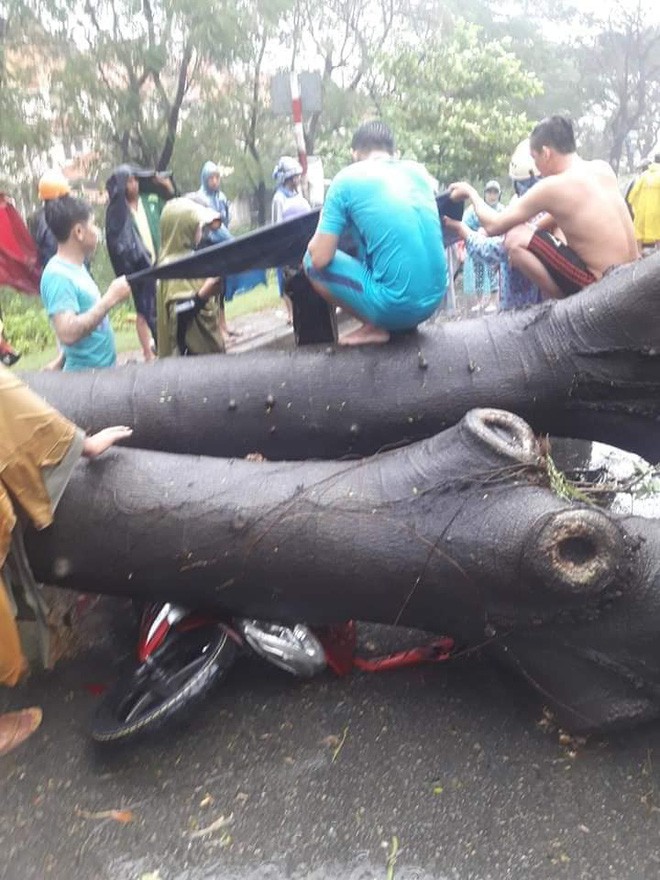 Marcedes siêu sang gặp nạn vì cột điện đổ ập xuống trong bão số 9 - Ảnh 3.