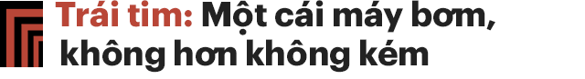 Trái tim: Nơi chứa đựng cảm xúc hay chỉ là một cái máy bơm không hơn không kém? - Ảnh 6.