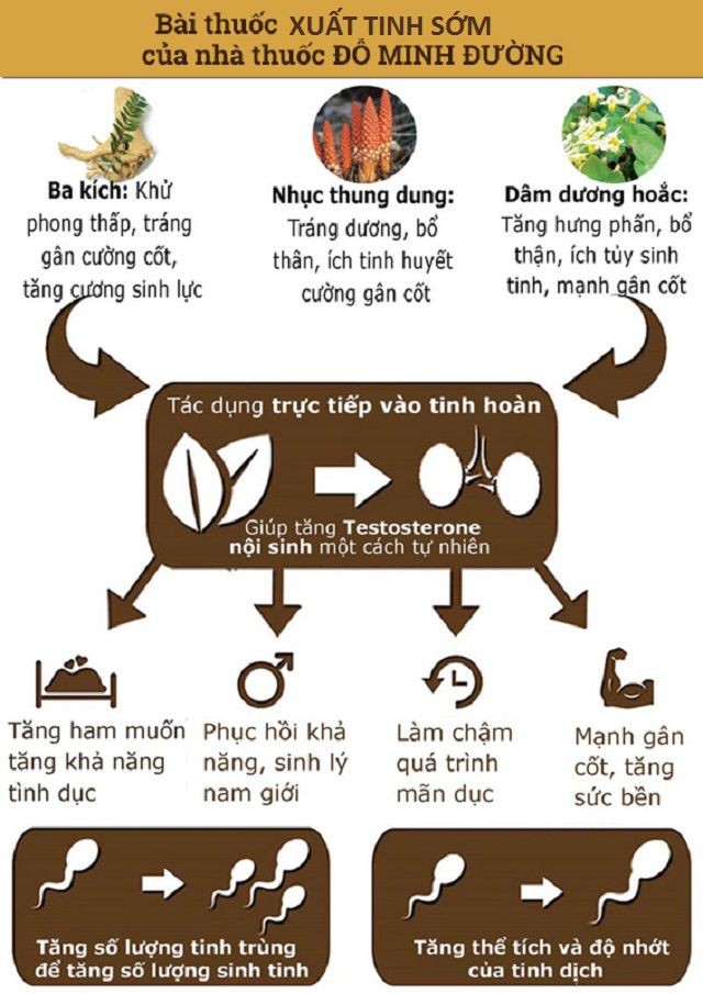 Bệnh xuất tinh sớm: Dấu hiệu và cách chữa trị giúp quý ông “đạt đỉnh phong độ” - Ảnh 4. Bệnh xuất tinh sớm: Dấu hiệu và cách chữa trị giúp quý ông “đạt đỉnh phong độ” - Ảnh 4.