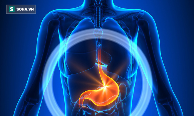 3 thời điểm vàng để chăm sóc dạ dày, tim và mạch máu: Nếu muốn khỏe hãy áp dụng ngay! - Ảnh 2.