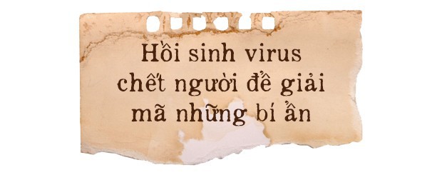 100 năm dịch cúm lớn nhất lịch sử nhân loại: Một con chim đậu xuống cửa sông mở đầu đại dịch giết chết 50 triệu người - Ảnh 6.