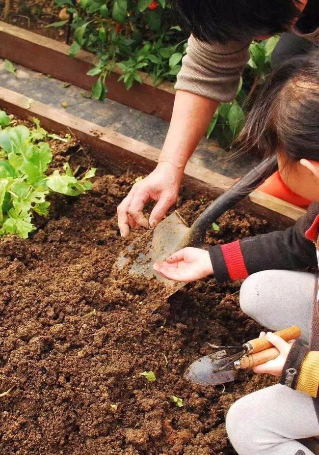 Bà mẹ đơn thân cùng con gái 5 tuổi dành trọn hai năm để biến sân thượng thành khu vườn đẹp như cổ tích - Ảnh 11.