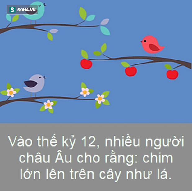 Sự thật thú vị: Bác sĩ thú y phải điều trị cho cả chó say rượu - Ảnh 6.