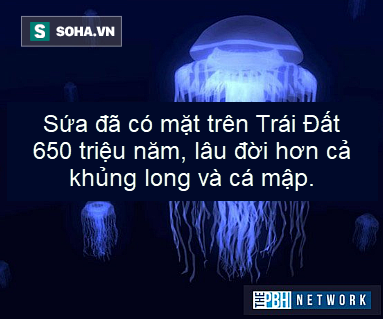 Sự thật thú vị: Đây là sinh vật có trước khủng long, và nó vẫn tồn tại đến tận ngày nay - Ảnh 1.