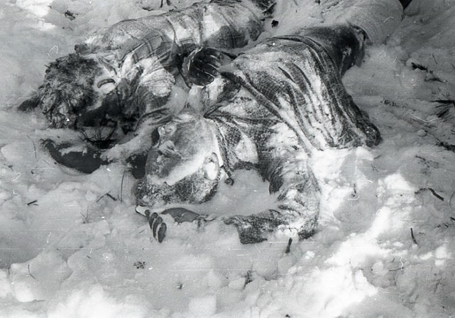 Thảm kịch đ&egrave;o Dyatlov - b&iacute; ẩn đ&aacute;ng sợ nhất trong lịch sử Nga đ&atilde; được giải m&atilde;? - Ảnh 3.