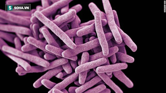 Bí mật khổng lồ dưới lòng đất: Tồn tại hàng tỷ sinh vật xác sống - Ảnh 1. Bí mật khổng lồ dưới lòng đất: Tồn tại hàng tỷ sinh vật xác sống - Ảnh 1.