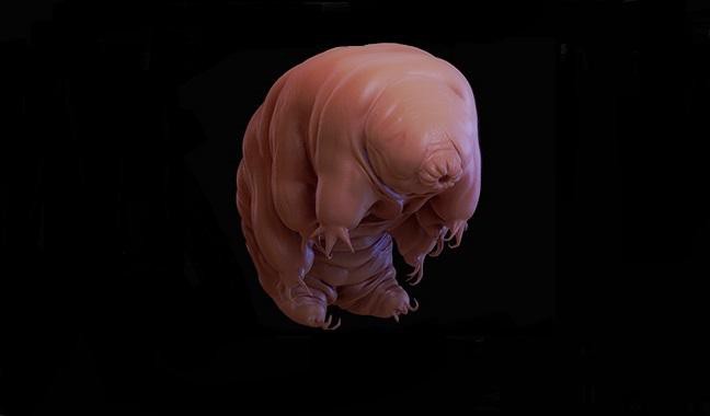 Có hơn 200 loài vật mới được tìm ra trong năm 2018, và đây là những sinh vật ấn tượng nhất - Ảnh 6. Có hơn 200 loài vật mới được tìm ra trong năm 2018, và đây là những sinh vật ấn tượng nhất - Ảnh 6.