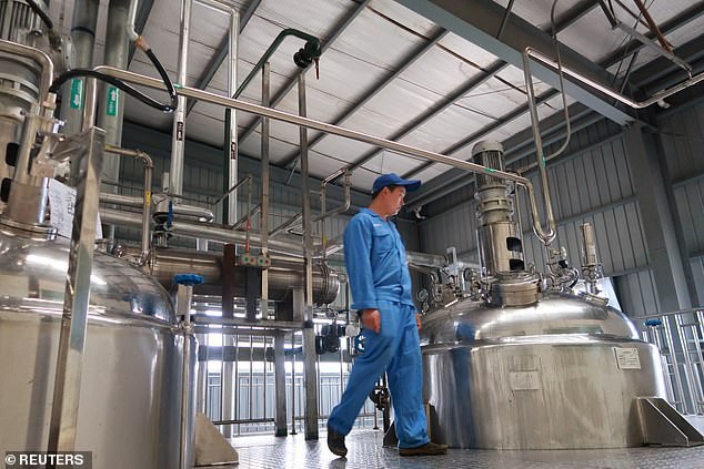 Hàng tỷ con gián đã giúp Trung Quốc xử lý 50 tấn thức ăn thừa mỗi ngày như thế nào? - Ảnh 6. Hàng tỷ con gián đã giúp Trung Quốc xử lý 50 tấn thức ăn thừa mỗi ngày như thế nào? - Ảnh 6.