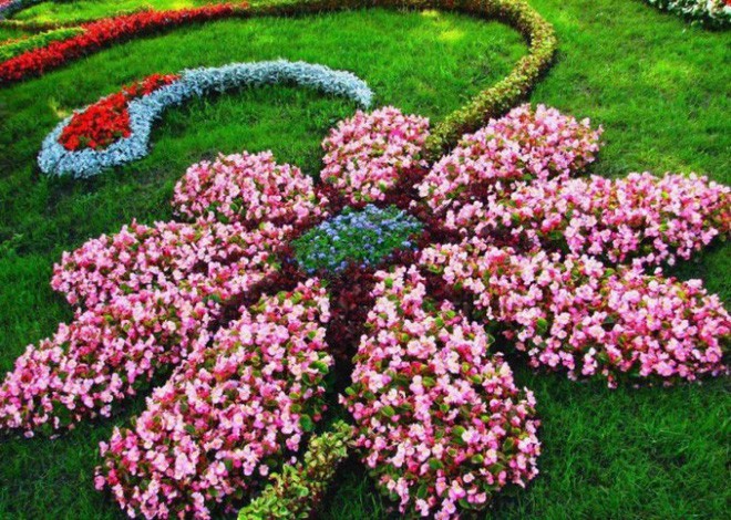 12 ý tưởng thiết kế khu vườn đẹp với biến tấu của hoa khiến bạn ...