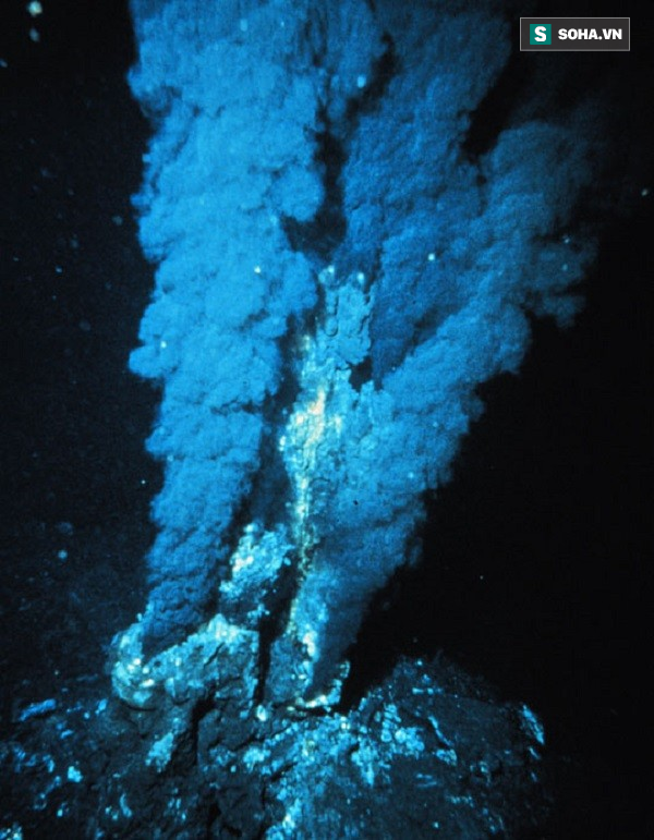 Giới khoa học sửng sốt phát hiện hệ sinh thái mới dưới đáy đại dương sâu 3.800m - Ảnh 1.