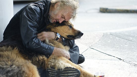 Bức ảnh cảm động về vô gia cư và chó sẽ khiến bạn bật khóc. Hãy cùng xem những chú chó làm thế nào để giúp chủ nhân của họ thoát khỏi cảnh nghèo đói.
