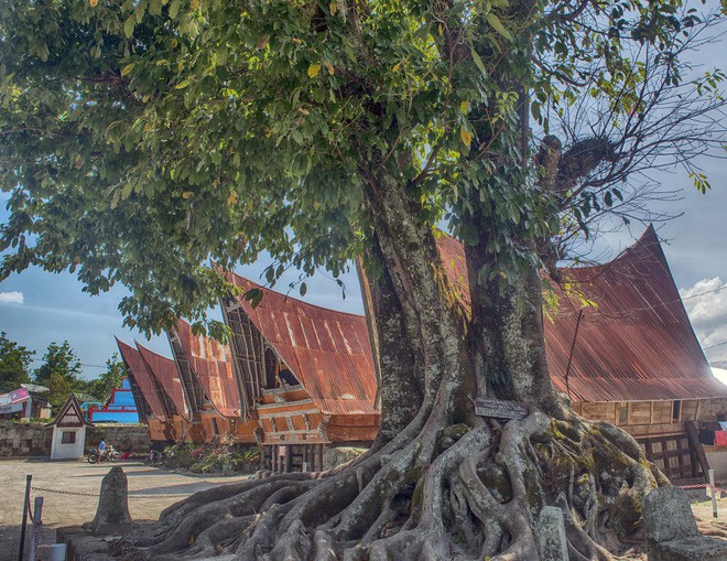 Đến Sumatra chiêm ngưỡng Toba, hồ nước được mệnh danh là đẹp nhất Đông Nam Á - Ảnh 14.