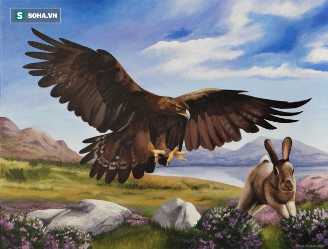 Twice humiliating the eagle, the rabbit still has to receive revenge from sharp claws and sharp beak - Photo 1.