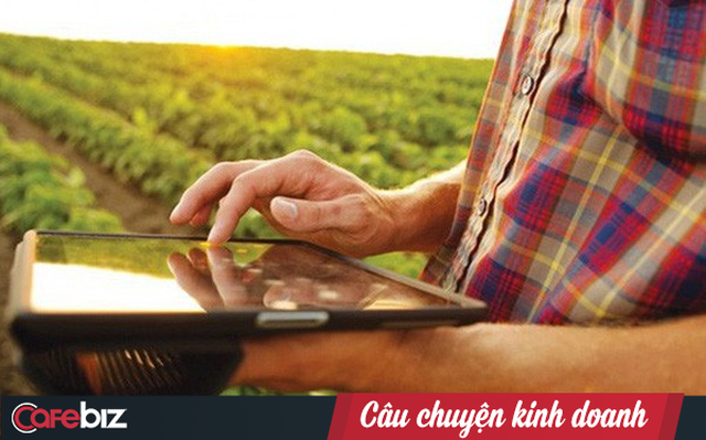  Lên đời xoài Cát Chu thành xoài blockchain, nông dân Đồng Tháp trồng không xuể để bán  - Ảnh 2.