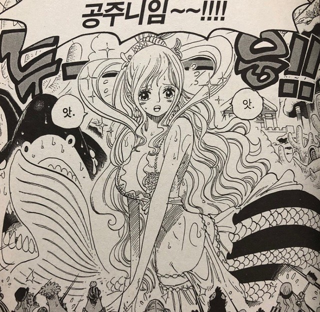 One Piece: Không phải Luffy, nhân vật làm khó Oda khi vẽ nhất hóa ra là hai đại mỹ nhân xinh đẹp này - Ảnh 5.