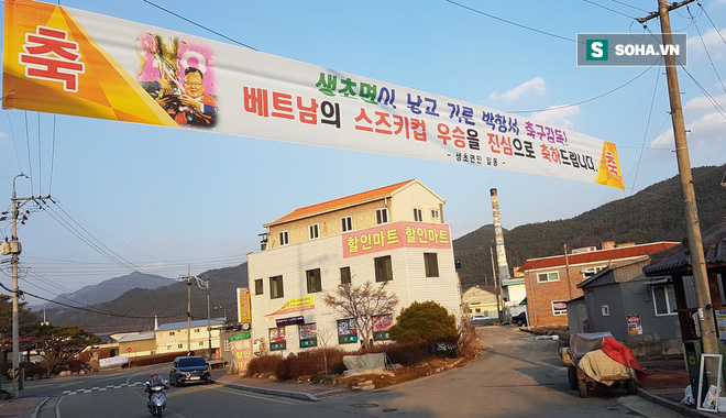 CĐV ở quê nhà kêu gọi chính phủ Hàn Quốc trao huân chương cao quý nhất cho thầy Park - Ảnh 1.