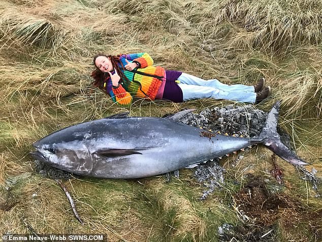 Xác cá ngừ khổng lồ gần 2 m trôi dạt bờ biển Scotland sau bão lớn - Ảnh 1.