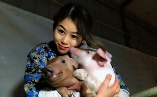 Việc nhẹ lương cao dành cho phái đẹp: Cô gái trẻ kiếm 3 tỉ đồng mỗi năm nhờ việc hôn lợn - Ảnh 6.