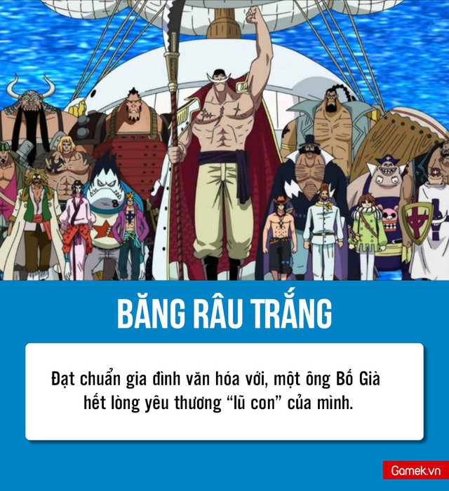 Phân loại Tứ Hoàng trong One Piece: Mỗi người một vẻ nhưng chỉ có Băng Râu Đen xứng danh là những hải tặc đích thực - Ảnh 1.