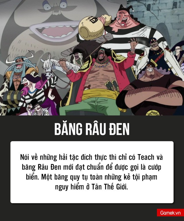 Tân Thế Giới trong One Piece là nơi nguy hiểm đến thế nào?