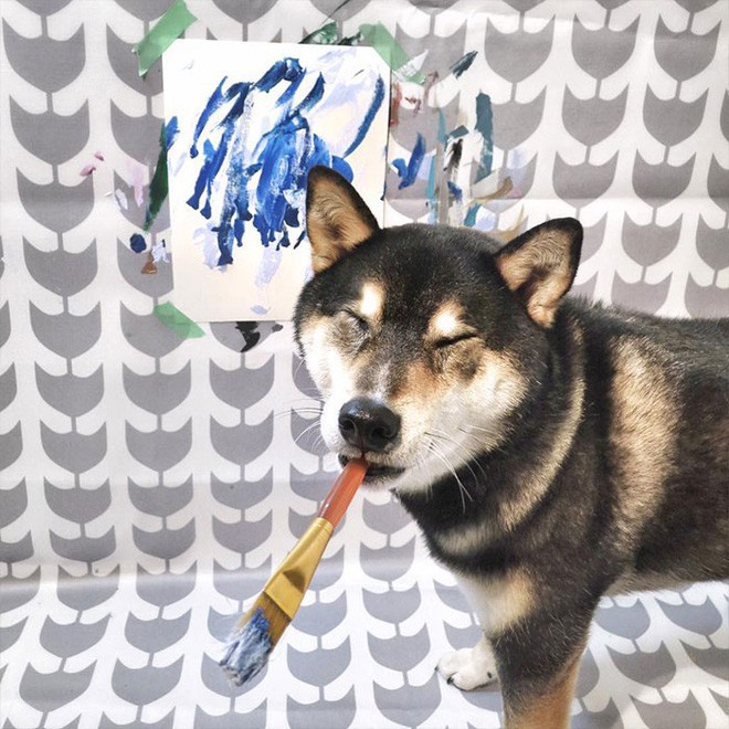 Chú chó shiba giúp chủ kiếm hơn 116 triệu đồng nhờ tài vẽ tranh trừu tượng - Ảnh 4.