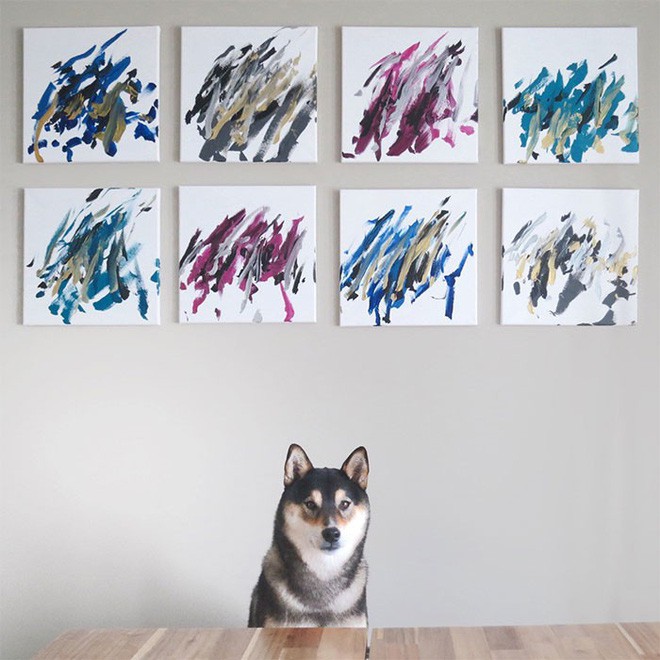 Chú chó shiba giúp chủ kiếm hơn 116 triệu đồng nhờ tài vẽ tranh trừu tượng - Ảnh 10.