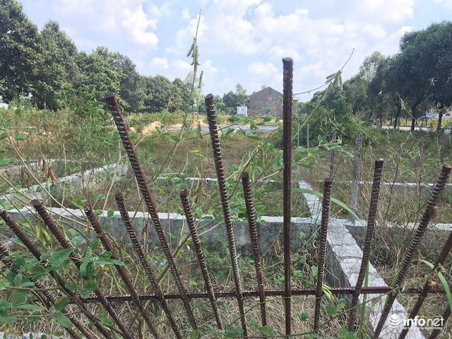 Đô thị “ma” Nhơn Trạch, Đồng Nai: La liệt dự án bỏ hoang, chung cư không người ở - Ảnh 8.