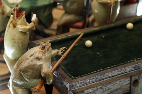 Tham quan bảo tàng ếch độc nhất vô nhị ở Thụy Sĩ với đầy những bất ngờ - Ảnh 7.